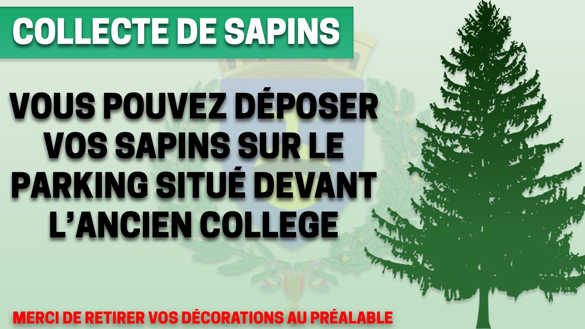 Collecte de Sapins à Morhange